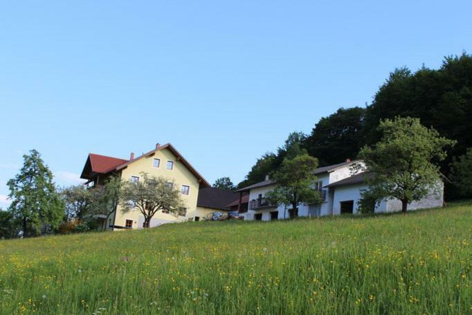 Ferienwohnung Huber Engelhartszell Exterior photo