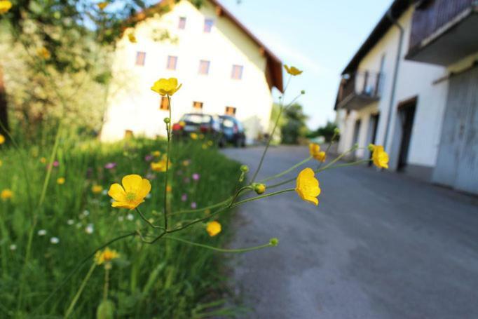 Ferienwohnung Huber Engelhartszell Exterior photo